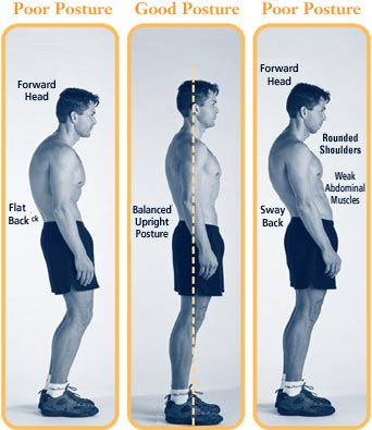 What is Good Posture?